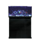 D-D Reef-Pro 900 Black Gloss Aquariumsystem 90x60x46cm