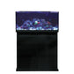 D-D Reef-Pro 900 D-LUX Black Gloss Aquarium inkl. Beleuchtung, Riffaufbau, Salz