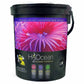 D-D H2Ocean Classic Formular Meersalz 6,6 kg Eimer