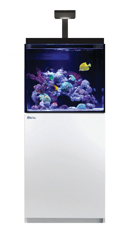 Red Sea MAX® E - 170 LED (mit ReefLED 90) Weiß (R40031)
