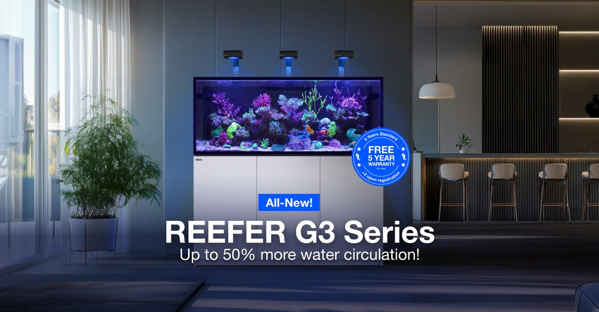 *NEU* Red Sea REEFER 625 System G3 Weiß (R45165)