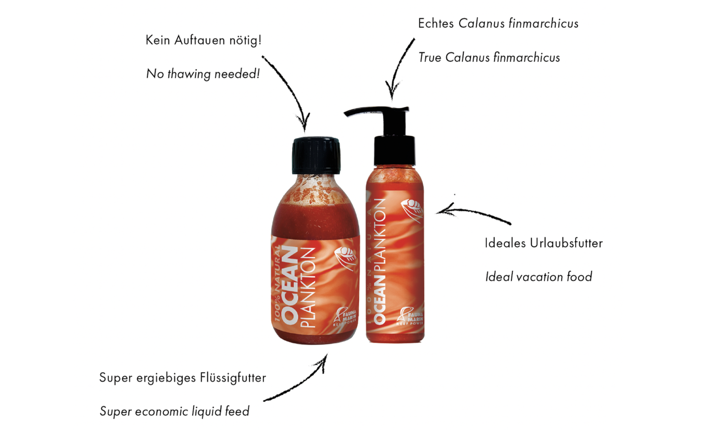 Fauna Marin Ocean Plankton echtes Calanus Plankton 100 ml