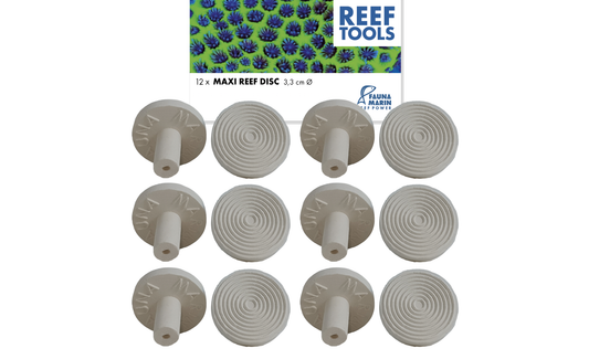Fauna Marin Maxi Reef Disc Ø 3,3cm Maxi Ablegersteine (12 St.)