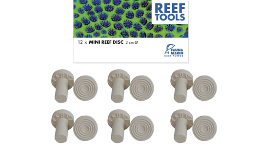 Fauna Marin Mini Reef Disc Ø 2,0cm Mini Ablegersteine (12 St.)