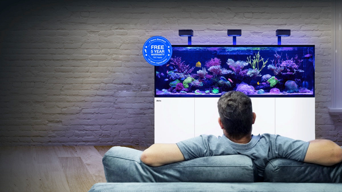 *NEU* Red Sea REEFER 625 System G3 Weiß (R45165)