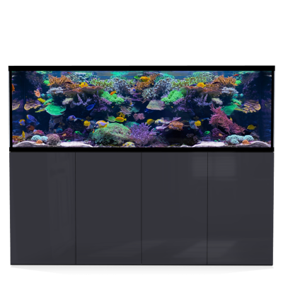 *NEU* D-D AQUA-Pro Reef 2100 Metal Frame Anthracite Gloss Aquariumsystem 210x65x68cm