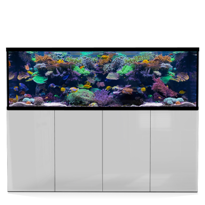*NEU* D-D AQUA-Pro Reef 2100 Metal Frame White Gloss Aquariumsystem 210x65x68cm