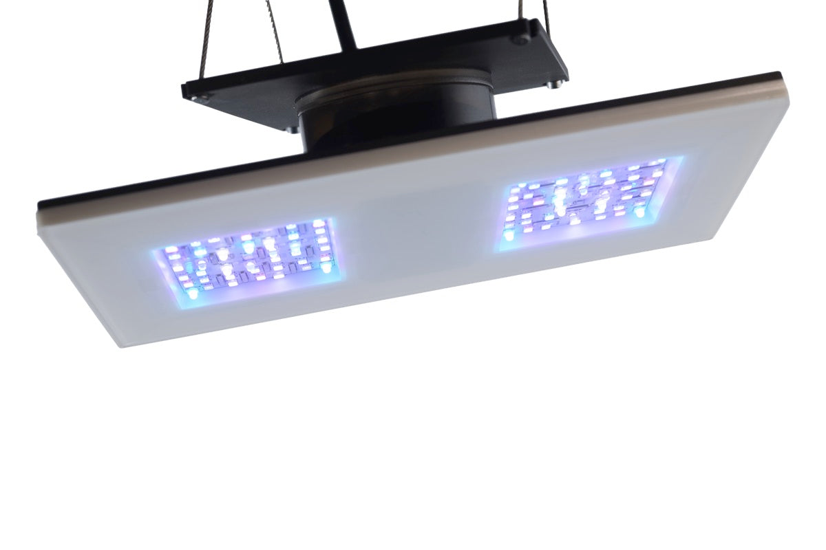 b.SPX b.OCEAN Gravity21 2x1 Modul 30 W