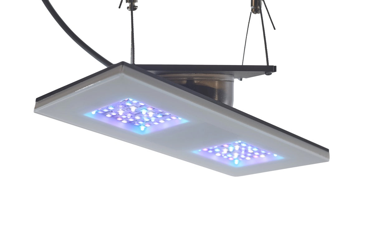 b.SPX b.OCEAN Gravity21 2x1 Modul 30 W