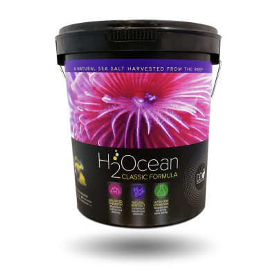 D-D H2Ocean Classic Formular Meersalz 23 kg Eimer
