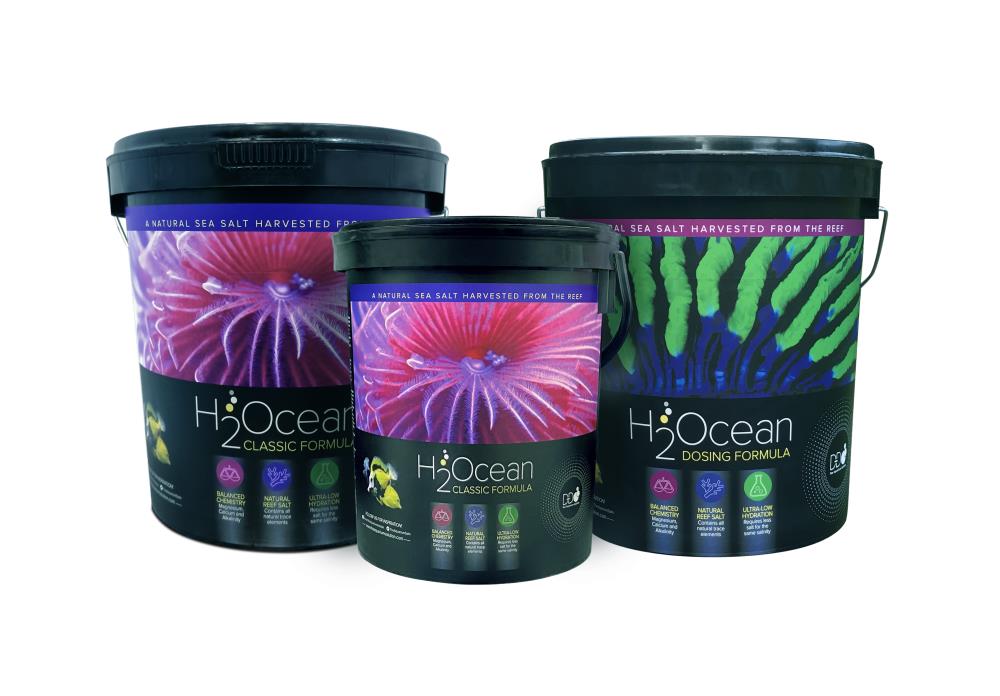 D-D H2Ocean Classic Formular Meersalz 23 kg Eimer
