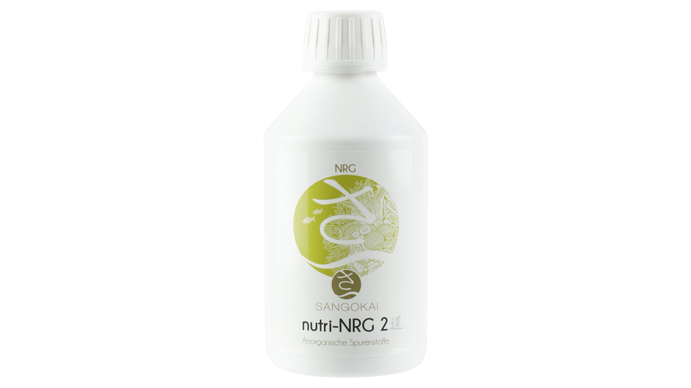 Sangokai sango nutri-NRG #2 1000 ml