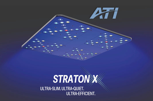 *NEU* ATI Straton X LED anthrazit