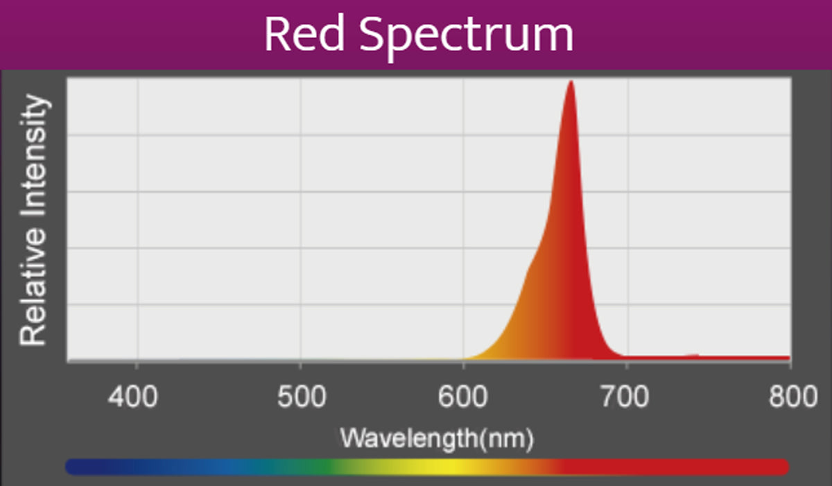 Kessil A360X Refugium LED (max. 90 W)