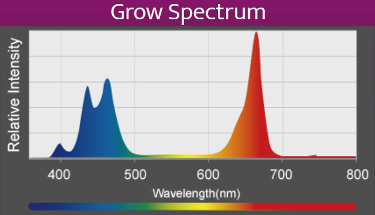 Kessil A360X Refugium LED (max. 90 W)