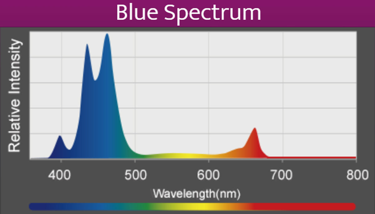 Kessil A360X Refugium LED (max. 90 W)
