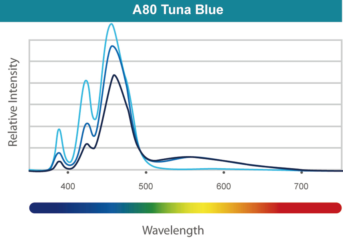 Kessil A80 Tuna Blue (Marine) (max. 15 W)