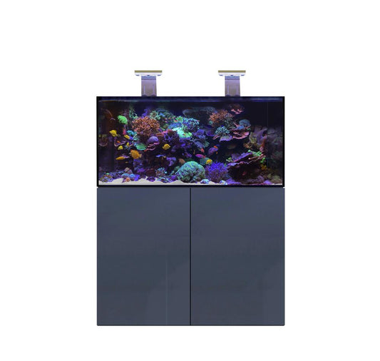 D-D AQUA-Pro Reef 1200 Anthracite Matt 120x60x56cm Aquariumsystem mit Holzschrank