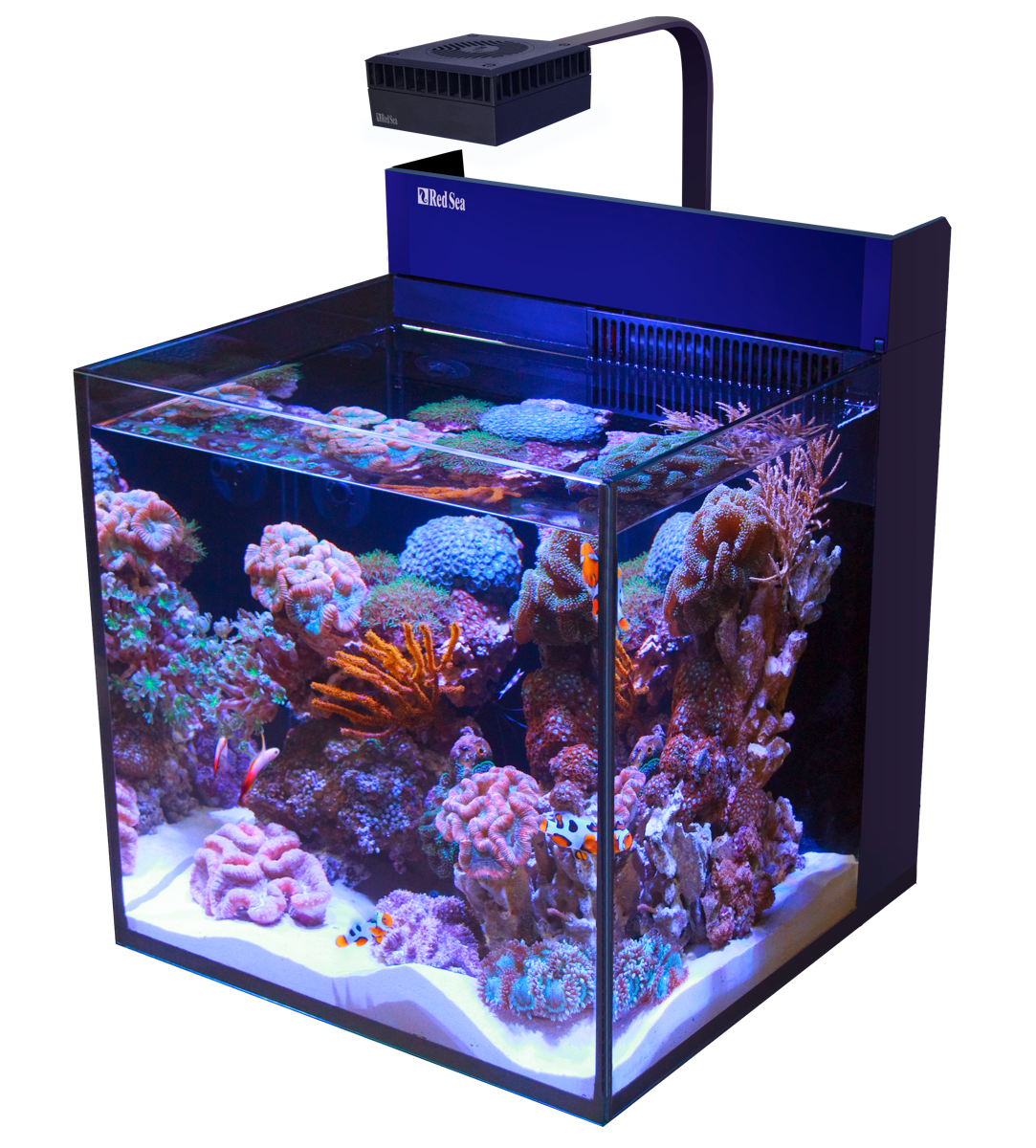 Red Sea MAX NANO G2 Cube exkl. Unterschrank (R40002G2)