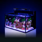 *NEU* Red Sea MAX NANO G2 XXL exkl. Unterschrank (R40092G2-EUR)