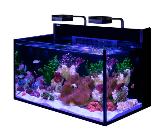 *NEU* Red Sea MAX NANO G2 XXL inkl. schwarzer Unterschrank (R40090G2-EUR)