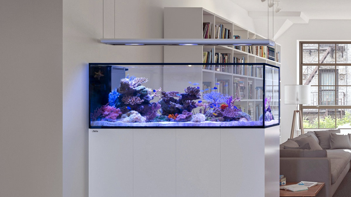 *NEU* Red Sea REEFER 170 System G3 Weiß (R45112)