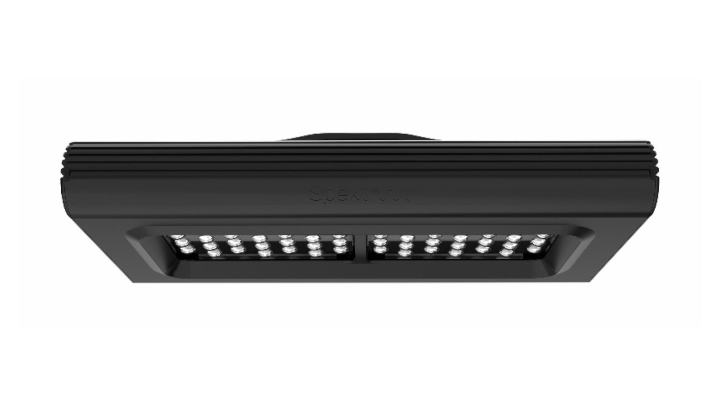 *NEU* D-D Spektrum 150 LED Leuchte (152 W)