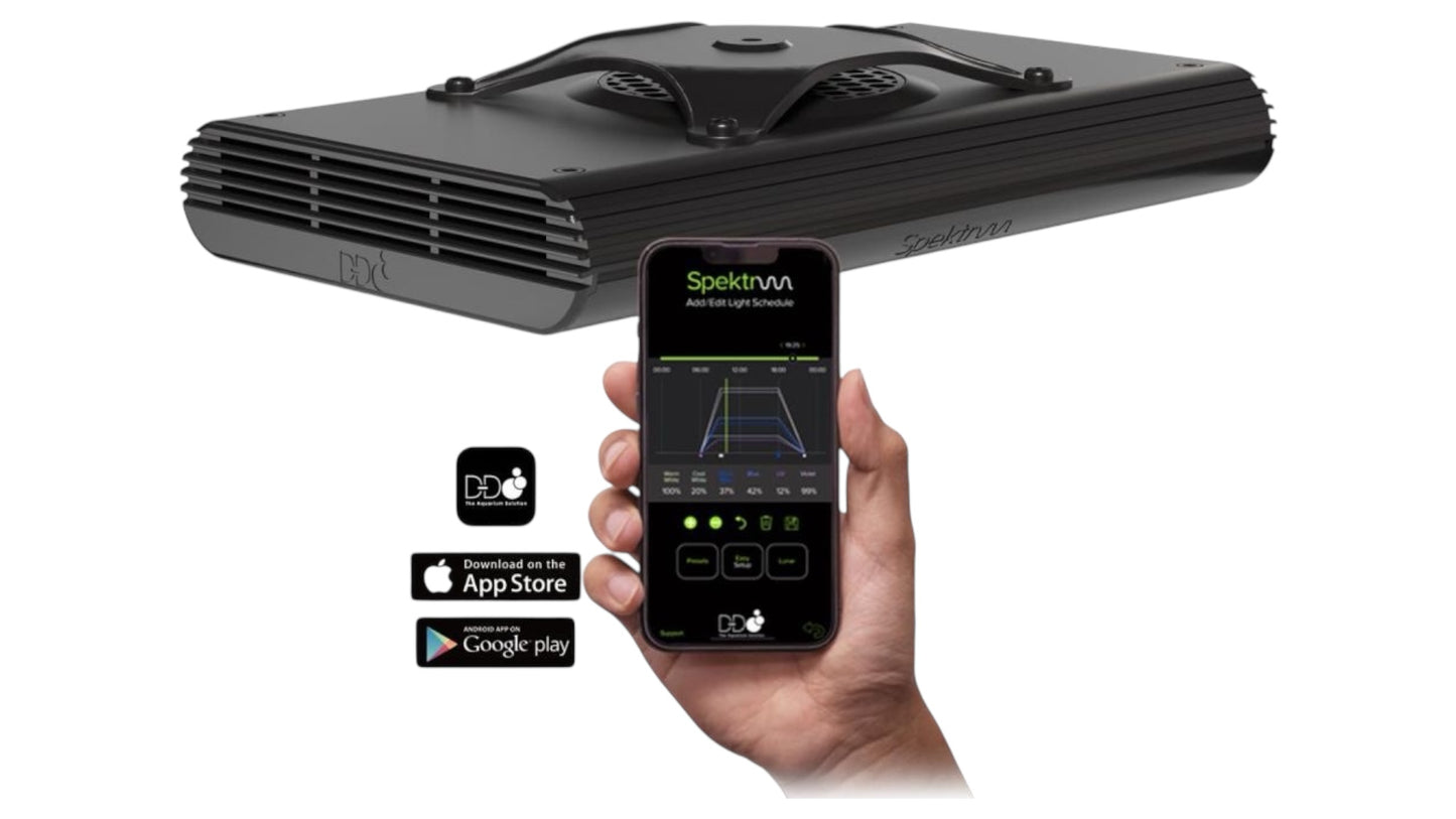 *NEU* D-D Spektrum 150 LED Leuchte (152 W)