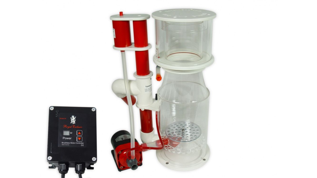 Royal Exclusiv Bubble King® DeLuxe 200 intern + RD3 Speedy