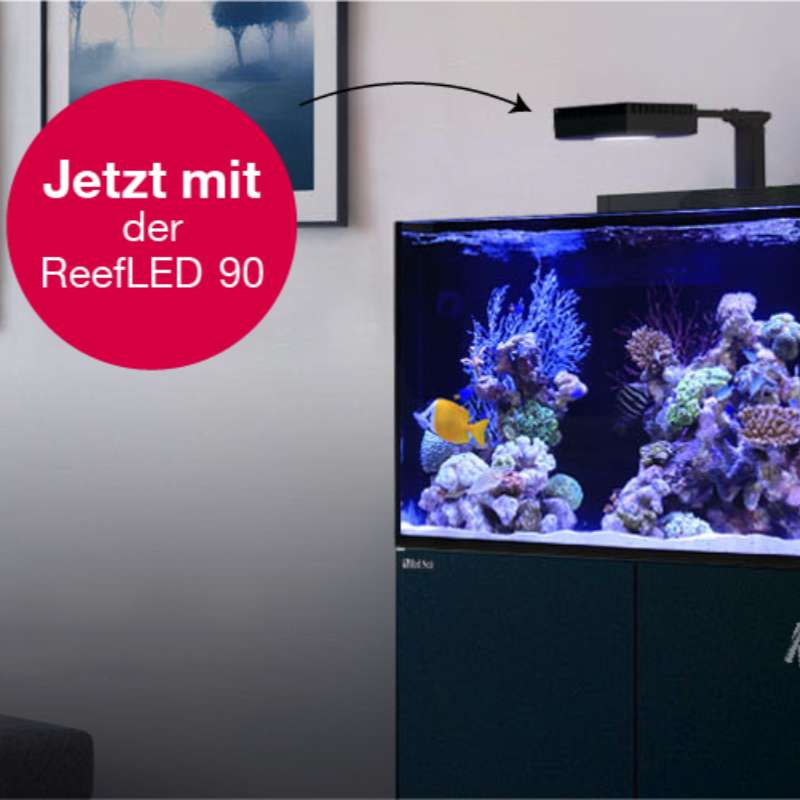 Red Sea MAX® E 260 LED (mit 2x ReefLED) Weiß (R40041)