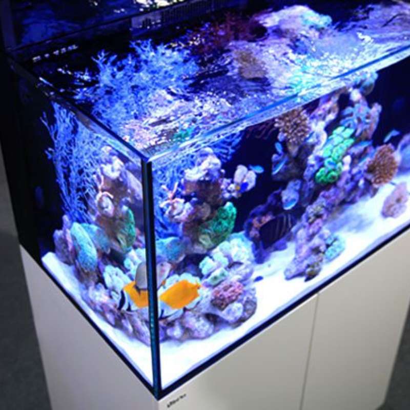 Red Sea MAX® E 260 LED (mit 2x ReefLED) Schwarz (R40040)