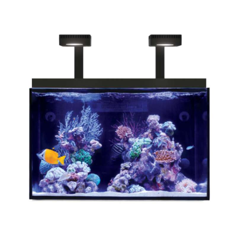 Red Sea MAX® E 260 LED (mit 2x ReefLED G2 115) Schwarz (R40040)