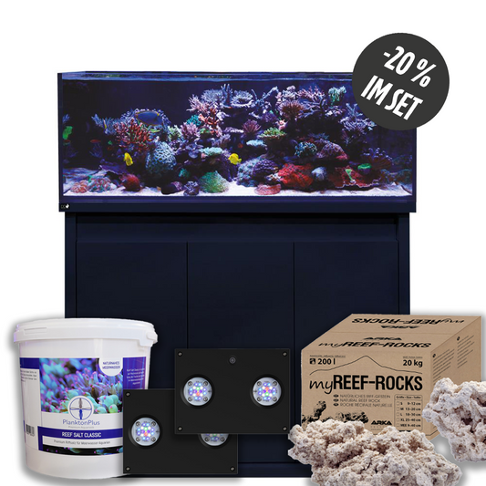 D-D Reef-Pro 1200 D-LUX Black Gloss Aquarium inkl. Beleuchtung, Riffaufbau, Salz