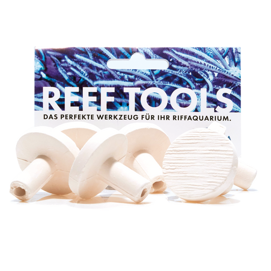 Fauna Marin Maxi Reef Disc Ø 3,3cm Maxi Ablegersteine (12 St.)