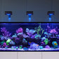 *NEU* Red Sea REEFER 170 System G3 Schwarz (R45111)