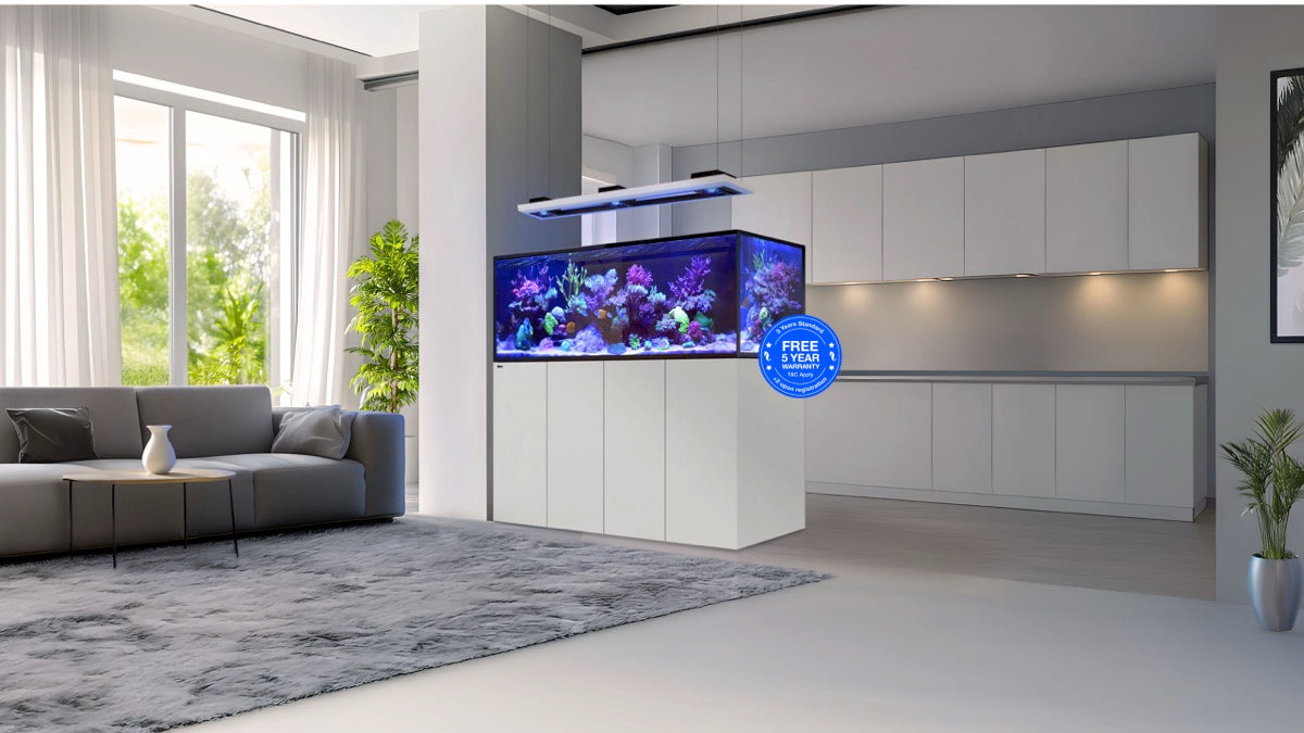 *NEU* Red Sea REEFER 625 System G3 Weiß (R45165)