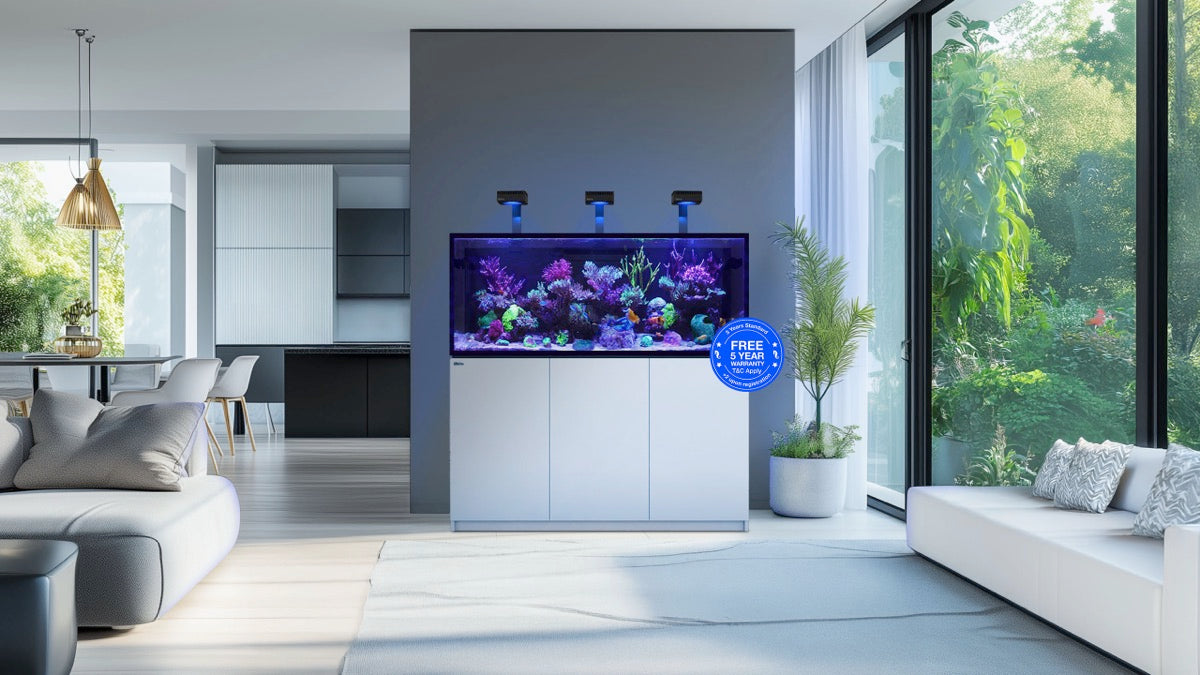 *NEU* Red Sea REEFER 625 System G3 Weiß (R45165)