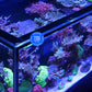 *NEU* Red Sea REEFER 170 System G3 Weiß (R45112)