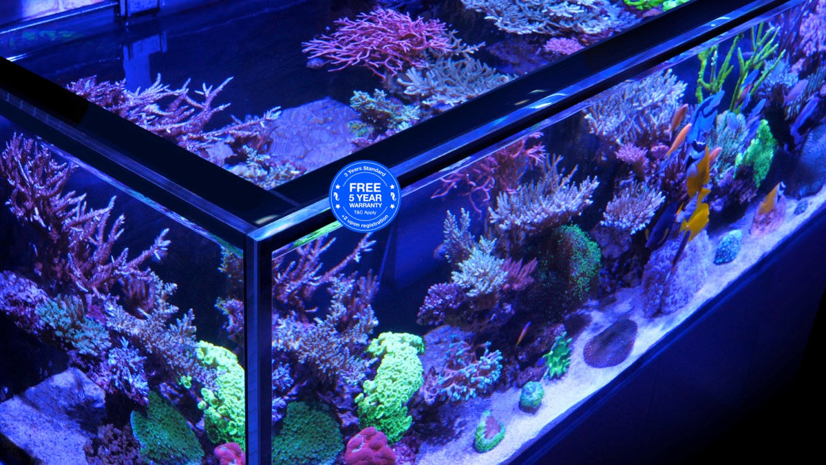 *NEU* Red Sea REEFER 170 System G3 Weiß (R45112)