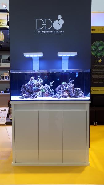 D-D Reef-Pro 1200 D-LUX Anthracite Gloss Aquarium inkl. Beleuchtung, Riffaufbau, Salz