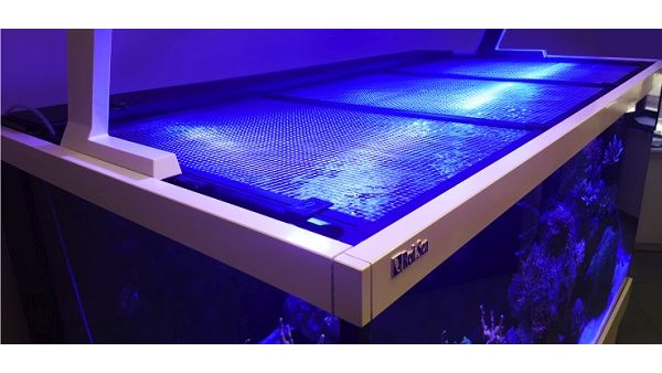 Red Sea Aquariennetzabdeckung 72''/180cm (inkl. 1 Universalausschnitt) (R42084)