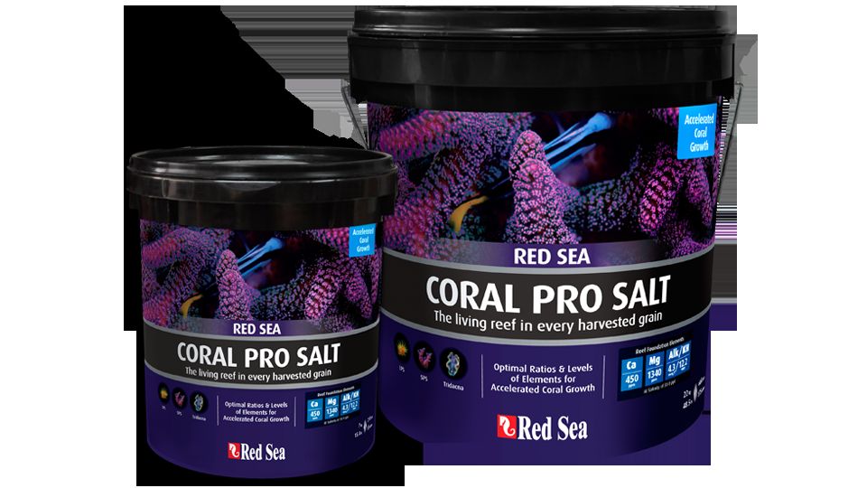 Red Sea Coral Pro Meersalz 22 kg Eimer (R11230)
