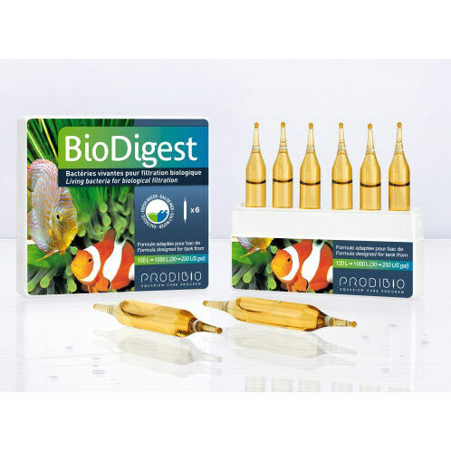Prodibio BioDigest Bakterienmischung für Meer- und Süßwasser