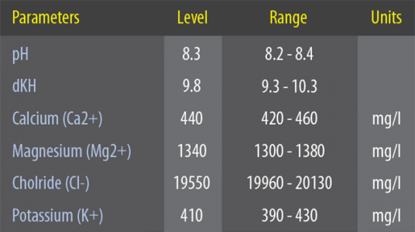 D-D H2Ocean Classic Formular Meersalz 23 kg Eimer