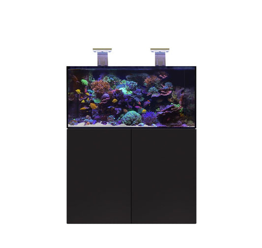 D-D AQUA-Pro Reef 1200 Black Gloss 120x60x56cm Aquariumsystem mit Holzschrank