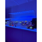 ATI Straton Flex G2 153 LED anthrazit (für Aquarienlängen 145-170cm)