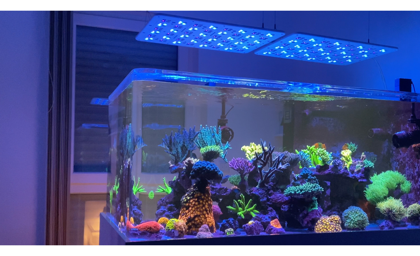 ATI Straton Pro G2 102 LED anthrazit (max. Ausleuchtung 70x80cm)