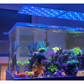 ATI Straton Pro G2 153 LED anthrazit (max. Ausleuchtung 80x80cm)