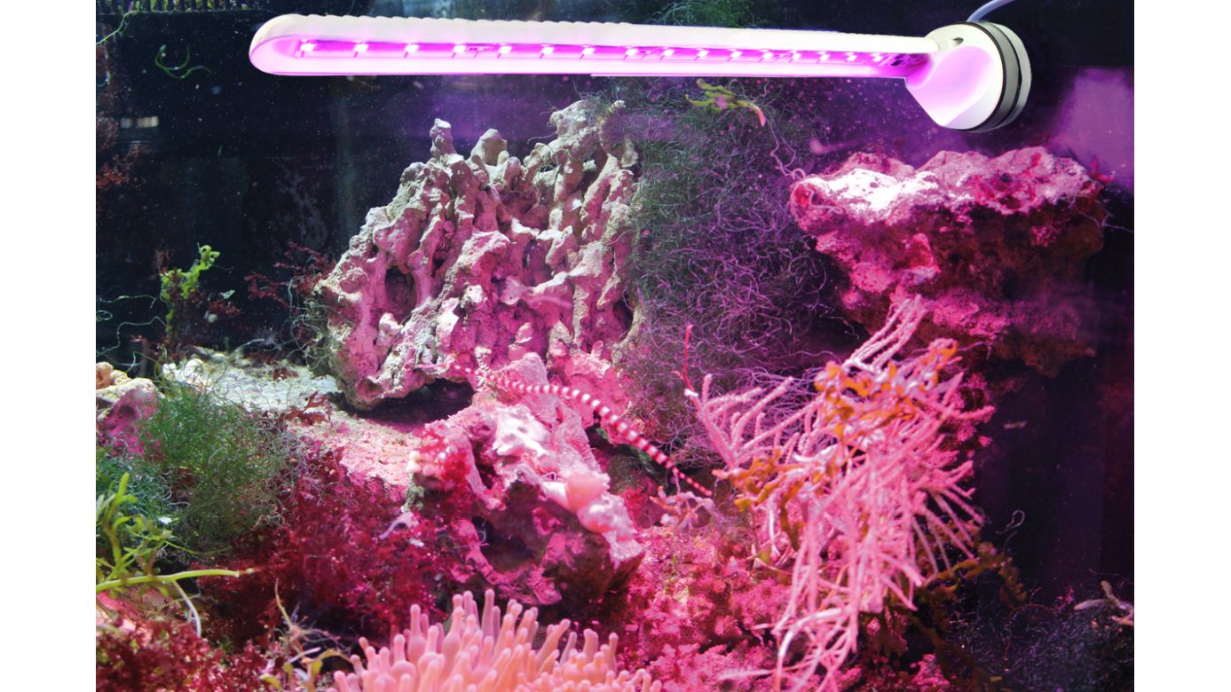 Tunze LED eco chic refugium (8831.000)