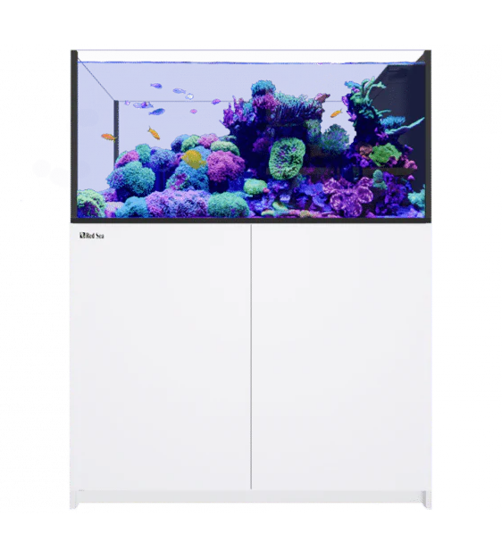 Red Sea REEFER™ Peninsula G2+ 500 System Raumteiler Weiß (R42352G2P-EUR)